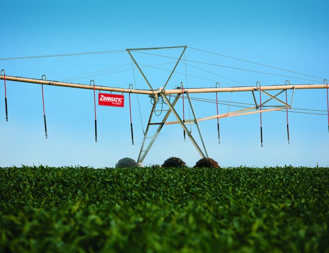 Com auxílio da irrigação, agricultor bate recorde de produtividade no milho