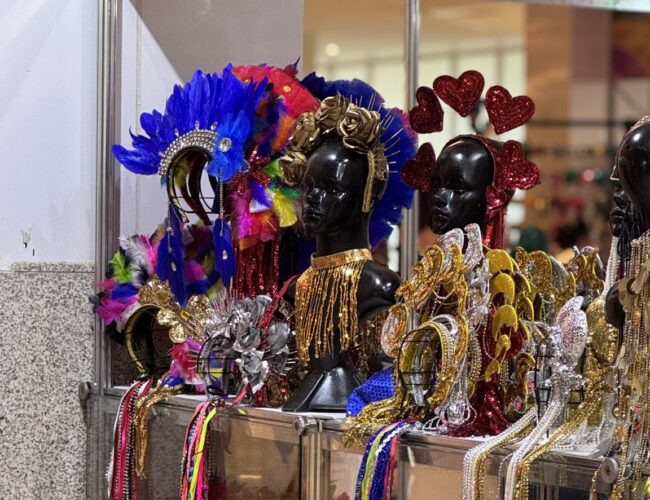 Foliões encontram tudo em um só lugar na Cidade Seu Carnaval