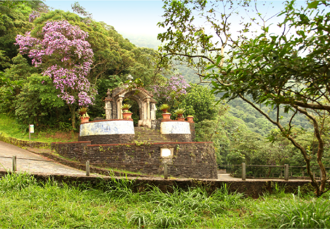 Parque Caminhos do Mar investe em visitas escolares para promover educação ambiental