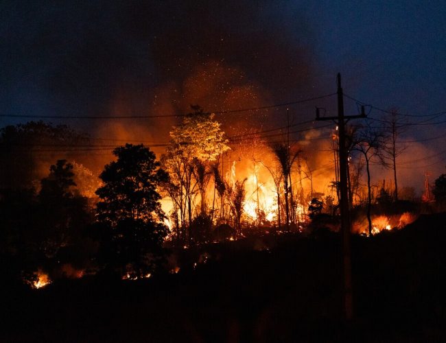 Quem está apostando no apocalipse?