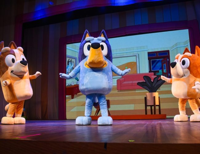 Bluey – Ao Vivo: Uma Experiência Familiar Imperdível em Brasília!