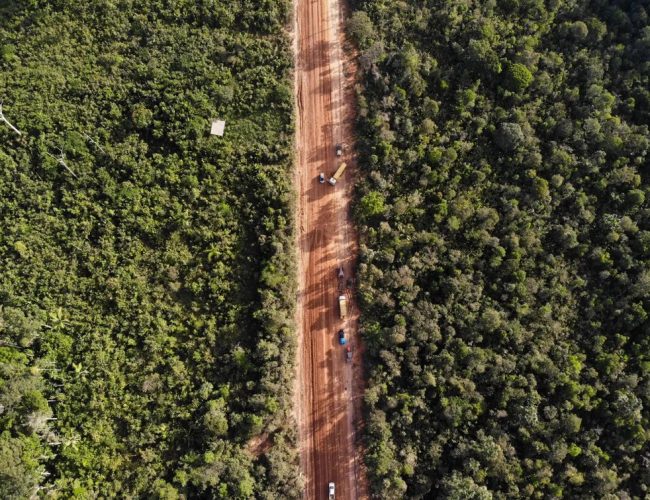 O asfalto da BR-319: o início da ‘lei da destruição’ em ação