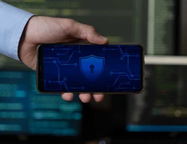 Gestão de riscos em proteção de dados: como evitar passivos jurídicos, por Adonis Martins Alegre