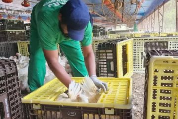MPT investiga Cargill e JBS por práticas de trabalho semelhante à escravidão em suas operações.