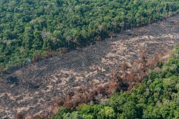 No “Dia do Agro”, setor rural avança com medidas que enfraquecem a fiscalização ambiental e reduzem a proteção ambiental