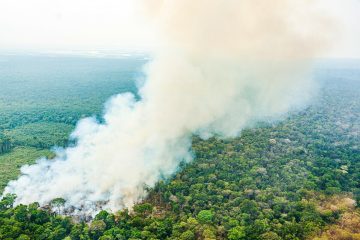 Pesquisadores aprofundam conhecimento sobre os limites críticos da Amazônia, gerando apreensão