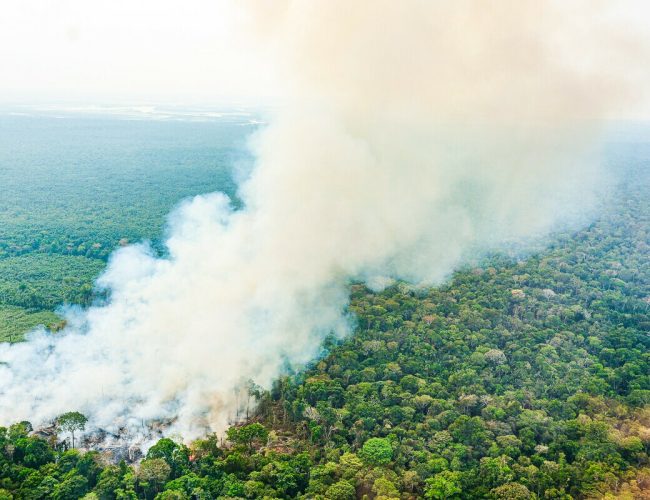 Pesquisadores aprofundam conhecimento sobre os limites críticos da Amazônia, gerando apreensão