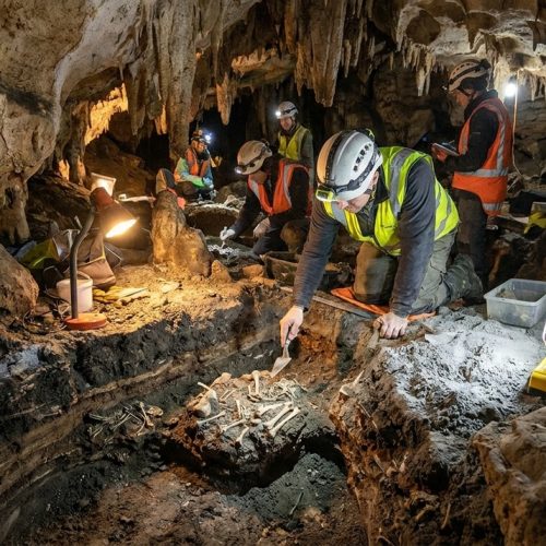 Investigadores encontram pistas de um passado remoto em caverna de ilha, datadas de 1 milhão de anos atrás