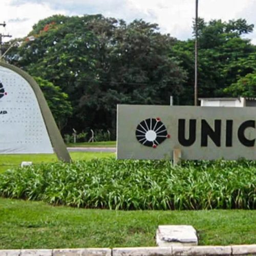 Exames da Fuvest, Unicamp e Unesp: acesso a conteúdos gratuitos destaca os assuntos mais frequentes
