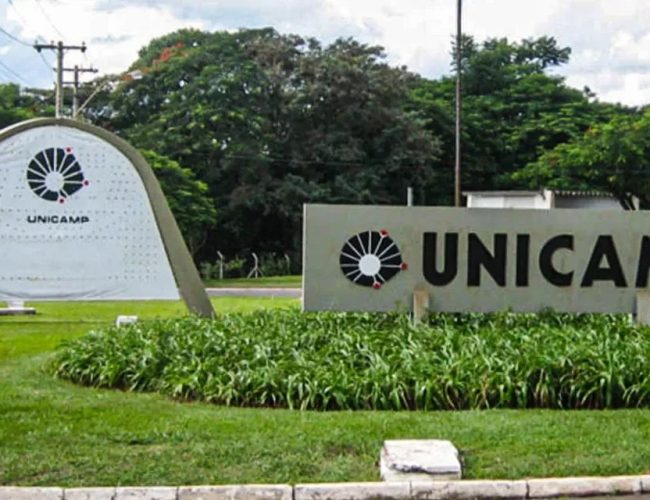 Exames da Fuvest, Unicamp e Unesp: acesso a conteúdos gratuitos destaca os assuntos mais frequentes