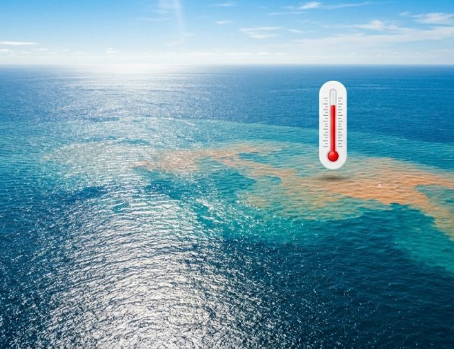 El Niño é oficializado pela NOAA: um sorriso travesso ante um clima turbulento!