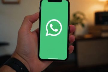 WhatsApp introduz sistema de nomes de usuário; descubra como garantir o seu