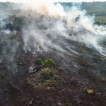 Eleições, desmatamento e o impacto do Super El Niño: quais os riscos?