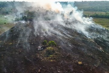 Eleições, desmatamento e o impacto do Super El Niño: quais os riscos?