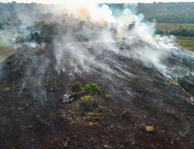 Eleições, desmatamento e o impacto do Super El Niño: quais os riscos?