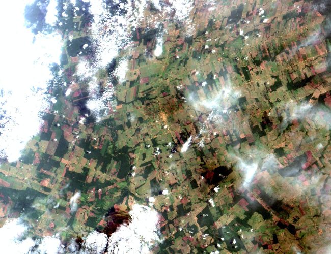 JBS recua em compromisso de carbono neutro e provoca controvérsia ambiental