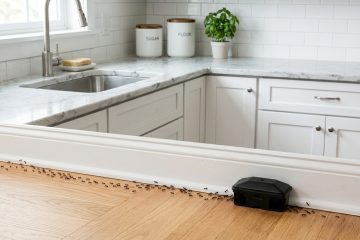 Estratégias eficazes para afastar formigas da cozinha e mantê-las longe de vez