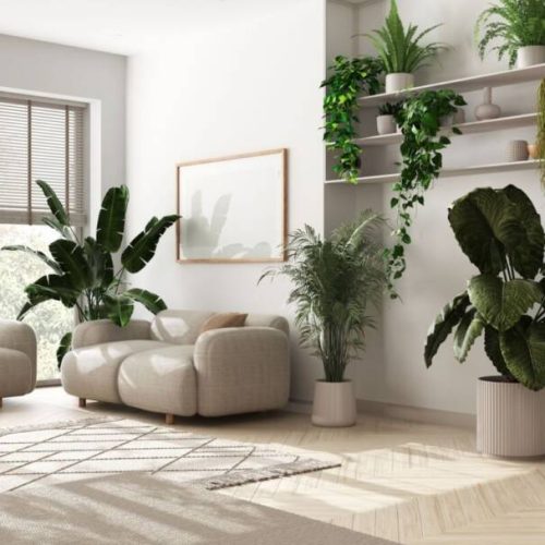 Descubra seu Estilo: 5 Sugestões para Personalizar sua Decoração