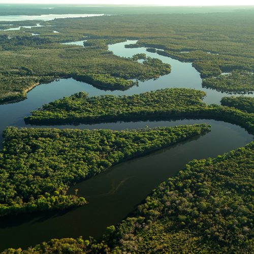 Lula e Flávio enfrentam desafios na integração entre meio ambiente e soberania em suas propostas governamentais
