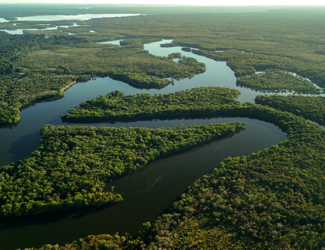 Lula e Flávio enfrentam desafios na integração entre meio ambiente e soberania em suas propostas governamentais