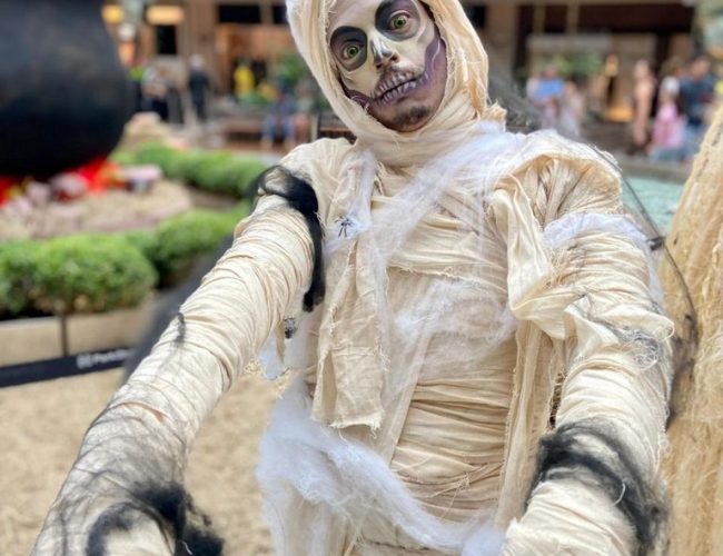 Halloween no Casapark promete diversão com guloseimas, fantasias e um trem fantasma para a criançada
