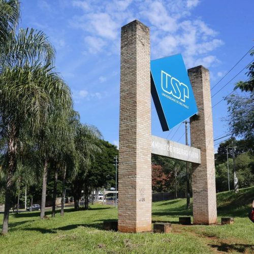 Cinco táticas eficazes para se preparar na última fase da Fuvest