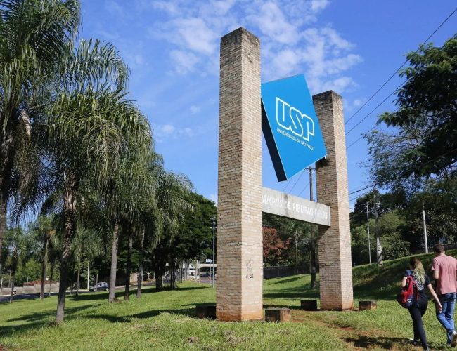 Cinco táticas eficazes para se preparar na última fase da Fuvest